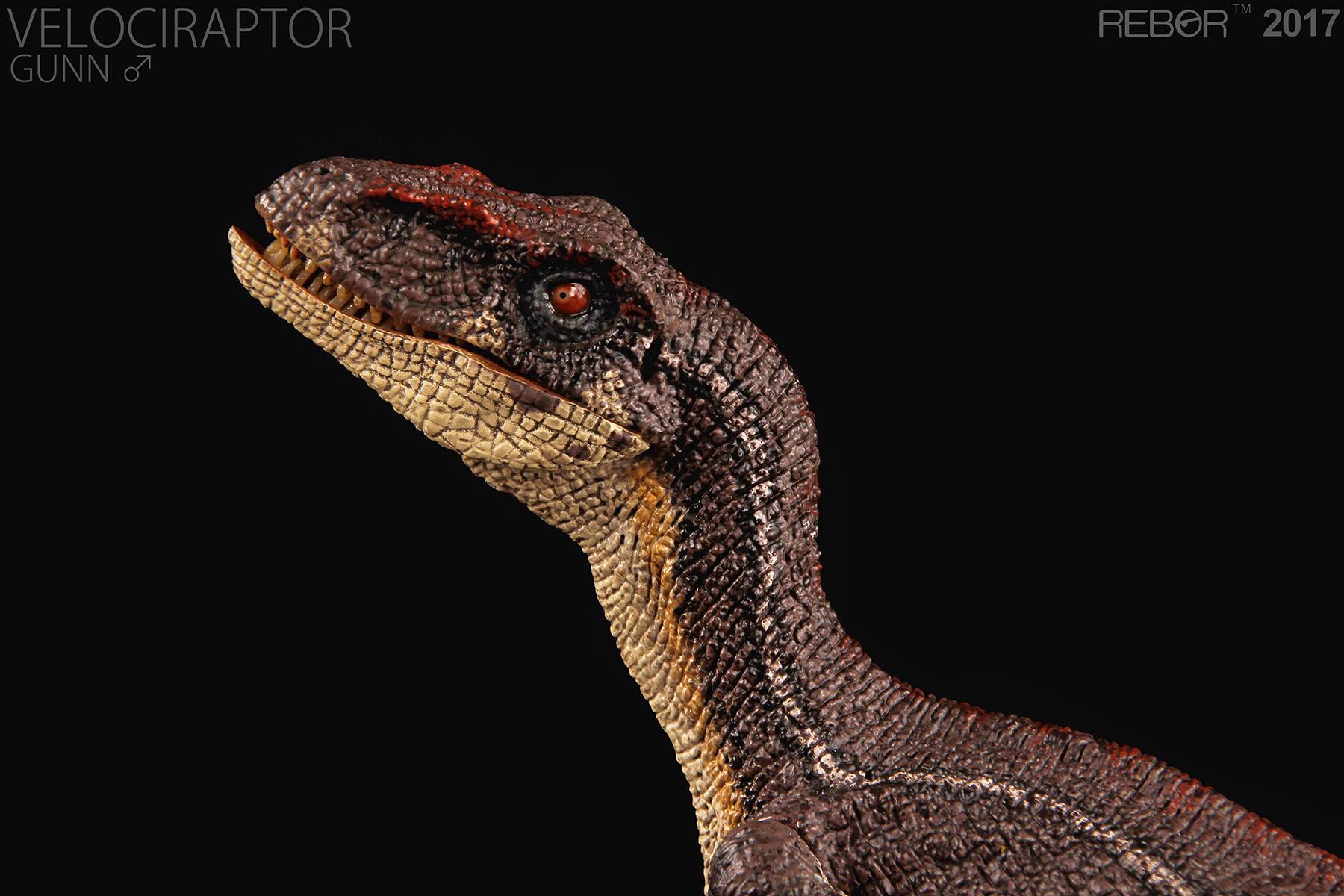 REBOR Velociraptor Pete 1:18 Scale Dinosaur Figurine 